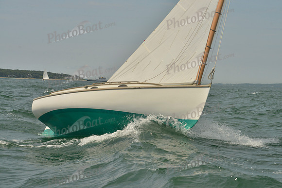 2018 Vineyard Cup B_0034