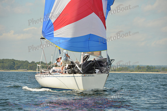 2015 Denmark Race A 654