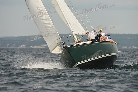 2016 Chester Race Week C_1262