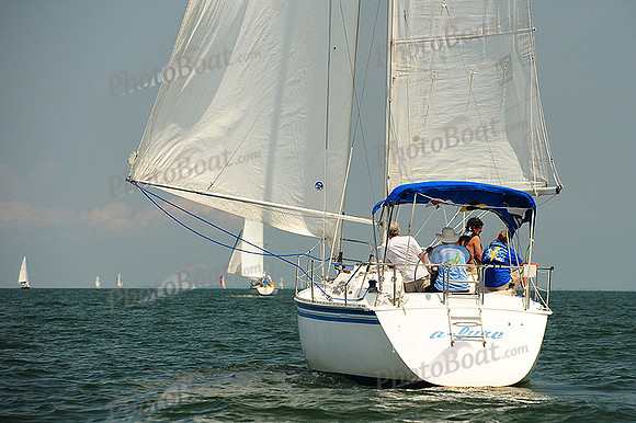 2014 Cape Charles Cup A 1368
