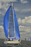 2016 Vineyard Race A_0587