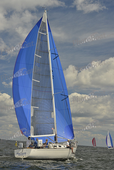 2016 Vineyard Race A_0587