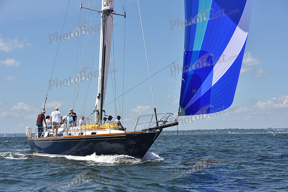 2020 Vineyard Race A_0790