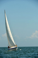 2015 Southern Bay Race Week C 762