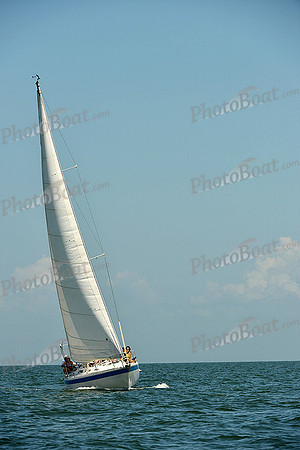 2015 Southern Bay Race Week C 762