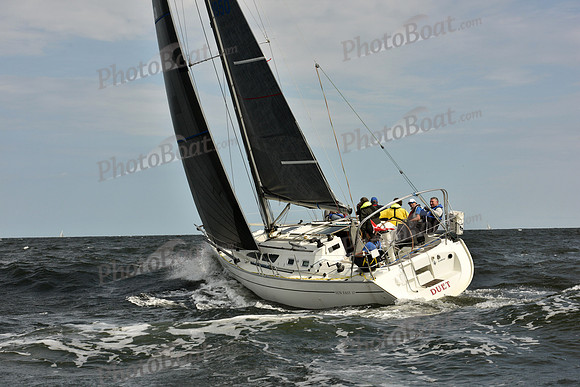 2018 Vineyard Race A_1507