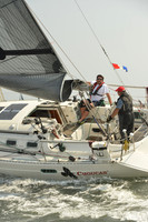 2015 Vineyard Race A 942