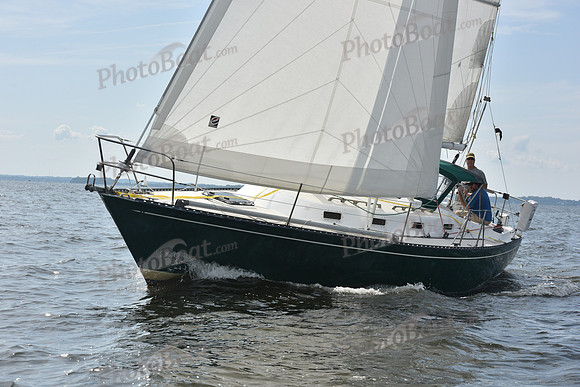 2019 Gov Cup A_1133