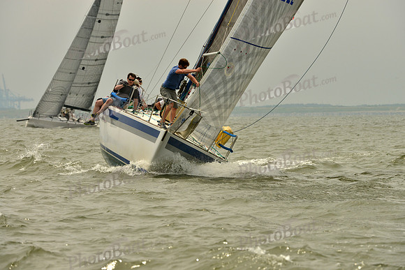 2016 Southern Bay Race Week A_0778