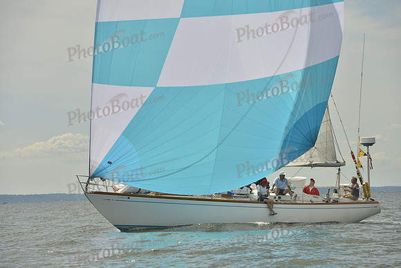 2016 Vineyard Race A_0992
