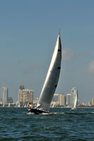 2012 Mar3 232