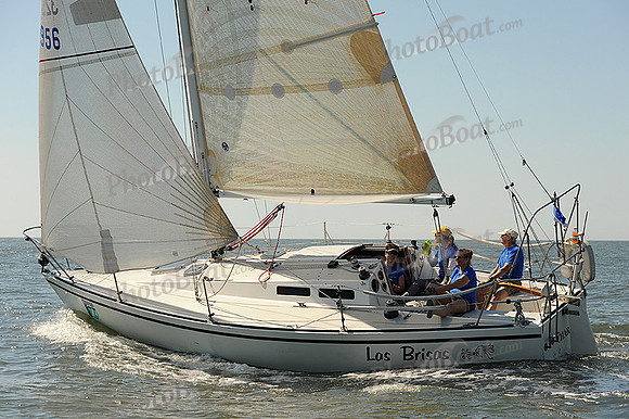2014 Charleston Race Week A 502