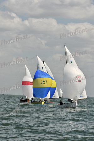 2012 Thistle Midwinters B 1396