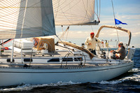 2014 Vineyard Race A 490