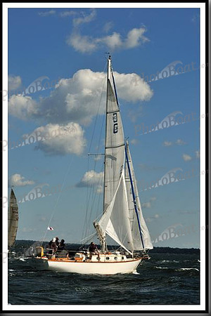 proof_2010_Vineyard_Race_0096