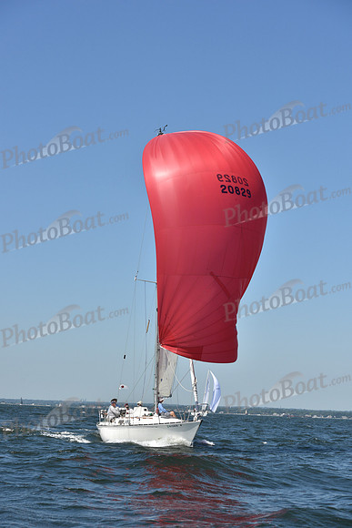 2019 Vineyard Race A_0298