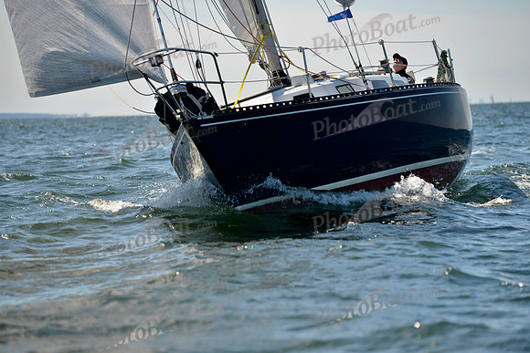 2017 Vineyard Race A_0699