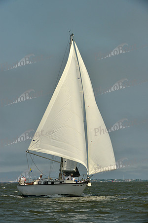 2016 Southern Bay Race Week B_0229