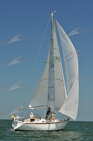 2013 Southern Bay Race Week C 1102
