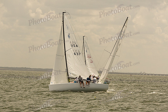 DBP_8008