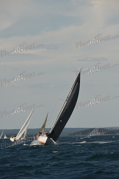 2016 Chester Race Week A_1335