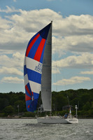 Defiance Swan 56