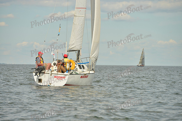2016 Vineyard Race A_1439