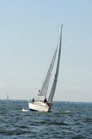 2011 Vineyard Race A 366