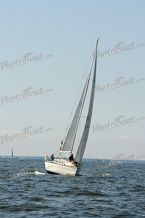 2011 Vineyard Race A 366