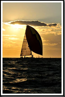 proof_2010_Vineyard_Race_2126
