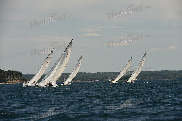 2016 Chester Race Week A_1169