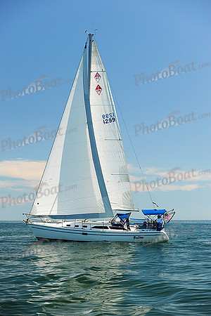 2015 Cape Charles Cup B 269