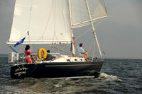 2013 Vineyard Race A 556