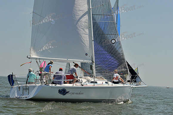 2013 Southern Bay Race Week A 267