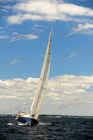 2014 Vineyard Race A 414