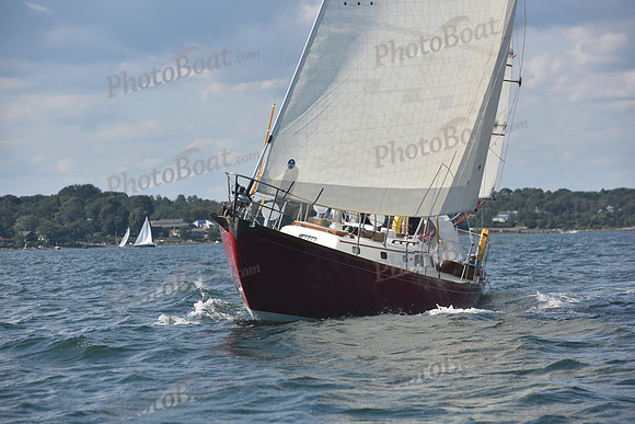2020 CYC Around the Island Race_1909