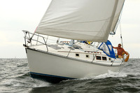 2012 Cape Charles Cup A 793