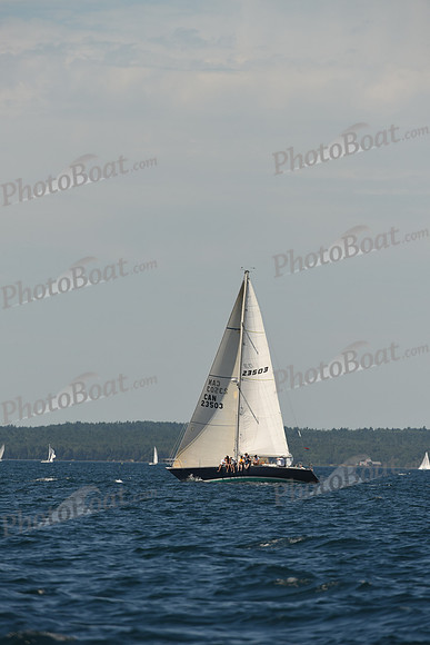 2016 Chester Race Week A_0467