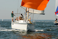 2012 Vineyard Race A 268