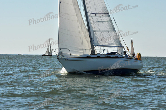 2010 Leukemia Cup 386