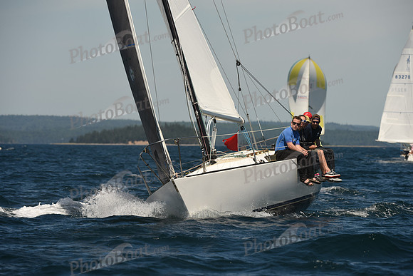 2016 Chester Race Week A_0595