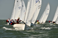 2012 Thistle Midwinters B 535