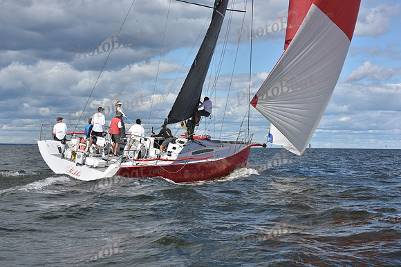 2021 Vineyard Race A 2869