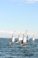 2011 Opti Area C 133
