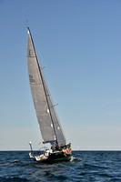 2016 Newport Bermuda Race_1235