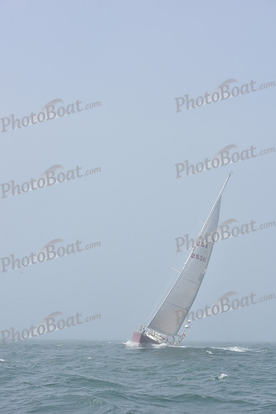 2022 Newport Bermuda_1391