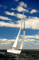 2014 Vineyard Race A 479