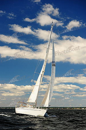 2014 Vineyard Race A 479