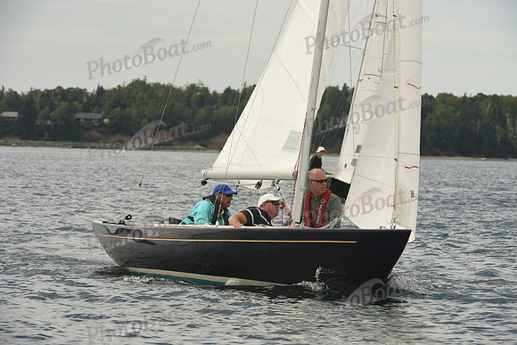 2016 Chester Race Week F_0263