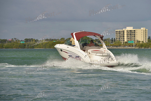 2019 Feb 10 Tampa Bay B_0484